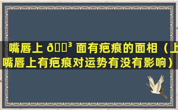 嘴唇上 🐳 面有疤痕的面相（上嘴唇上有疤痕对运势有没有影响）